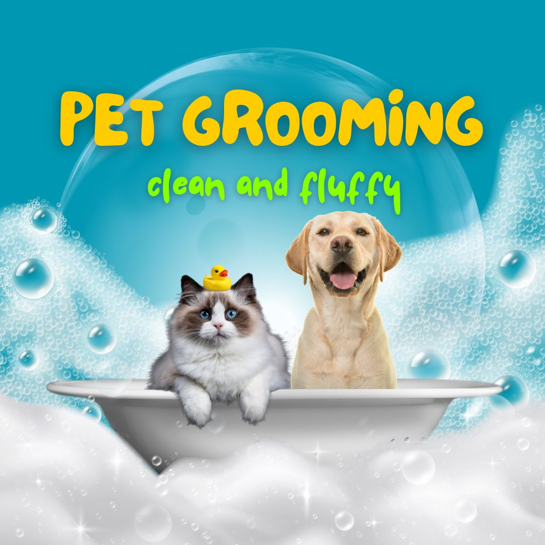 Pet Grooming